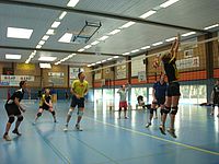 Bild von einem Volleyball-Punktspiel in der Halle